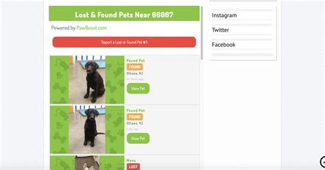 Pawboost Lost  Foundlibrary Detail