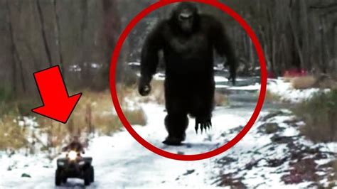 10 Mysterious Creatures In The Forest And Woods Caught On Camera