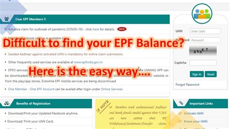 How To See Epf Employee Provident Fund Online Passbookbalance Youtube