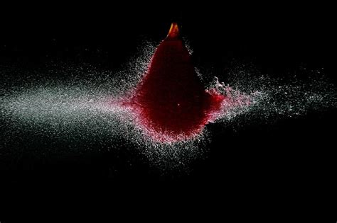 High Speed Photographs By Lex Augusteijn Capture The Moment A Bullet