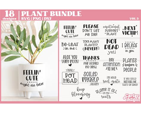 Funny Plant Svg Bundle Planter Quote Bundle Funny Plant Etsy Australia