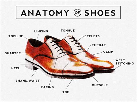 Image Result For Footwear Anatomy Anatomy Oxford Shoes Dress Shoes