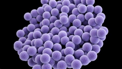 Mrsa Infections Remain A Back To School Risk