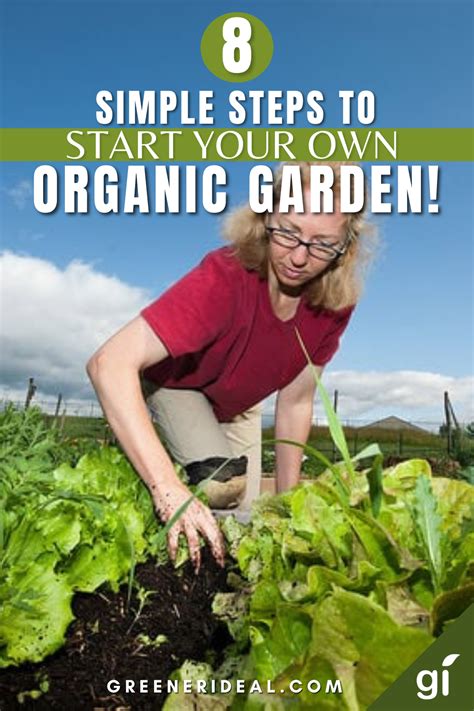 8 Simple Steps To Start Your Own Organic Garden Organic Gardening