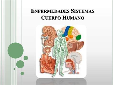 Enfermedades Sistemas Del Cuerpo Humano