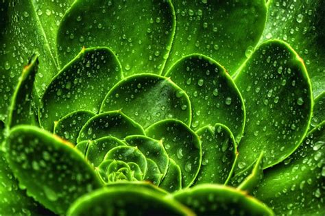 35 Breathtaking Examples Of Patterns In Nature