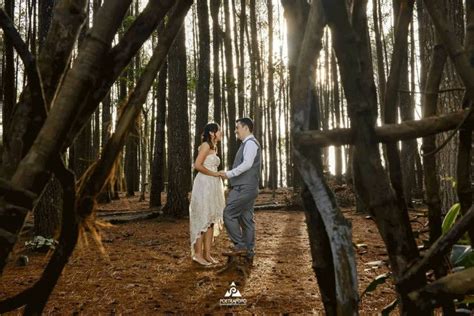 Inspirasi foto prewedding indoor casual formal gaya foto prewedding masa kini. 7 Wisata Hutan Pinus yang Cocok untuk Sesi Foto Prewedding