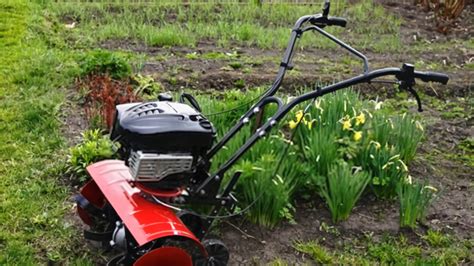 What is the difference between a tiller and a cultivator? Top 9 Best Small Garden Tillers Jul 2021 Reviews & Guide