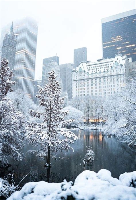 Snow Covered Central Park In Nyc New York City Manhattan Central Park