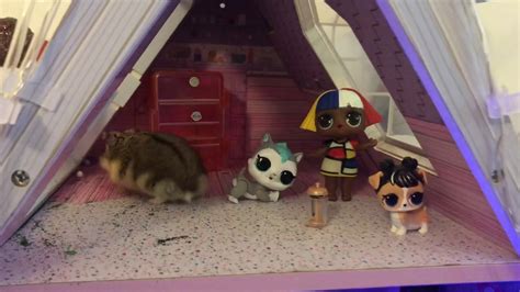 Hamster In Lol Surprise Doll House Youtube