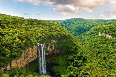 Brazil Discover Mata Atl Ntica The Forgotten Tropical Forest