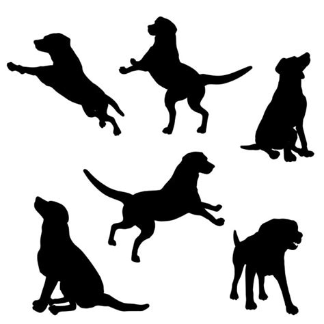 Dog Jumping Vectors Photos And Psd Files Free Download