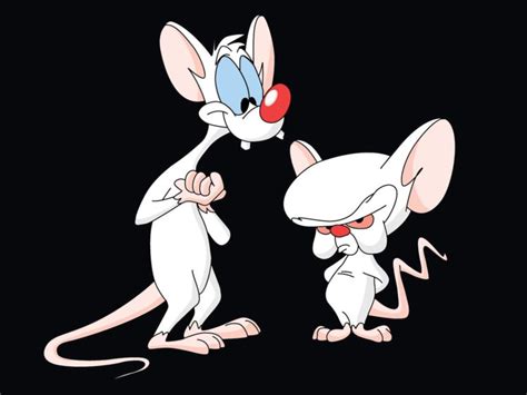 Maybe you would like to learn more about one of these? pinky, And, The, Brain Wallpapers HD / Desktop and Mobile ...