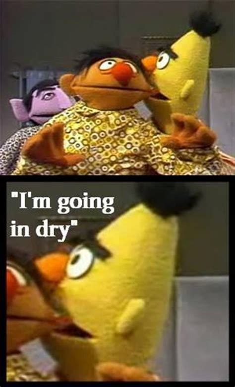 Bert And Ernie Sex Memes Porn Videos Newest Adult Sesame Street Memes Fpornvideos