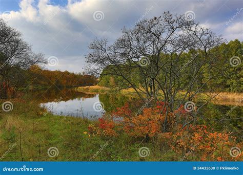 Leafless Tree Near River Stock Photo Image Of Landscapes 34432630