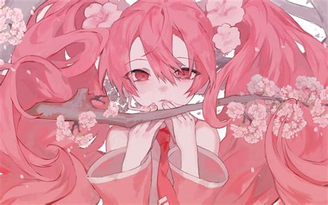 Download Wallpapers Sakura Miku 4k Pink Hair Artwork Manga Vocaloid For Desktop Free