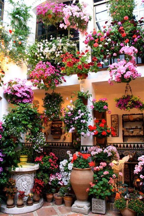 Roses, carnations or poppies are some of the 31 names of flowers that you will find in this post to practice and expand your vocabulary in spanish. Pin by Shawn Anderson Of Coldwell Ban on spanish love ...