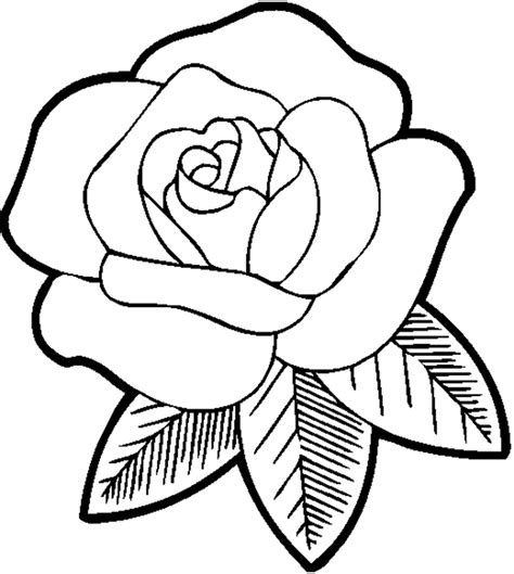 Simple Rose Flower Sketch At Explore Collection Of
