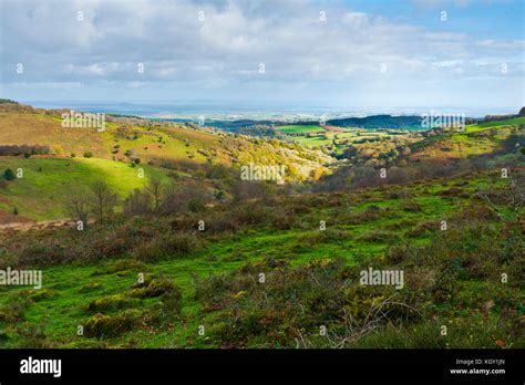 The Quantock Hills Somerset England Stock Photo Alamy