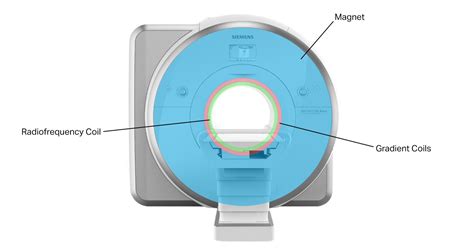 Magnetic Resonance Imaging Mri Nmri Mrt — Twomey Consulting Llc