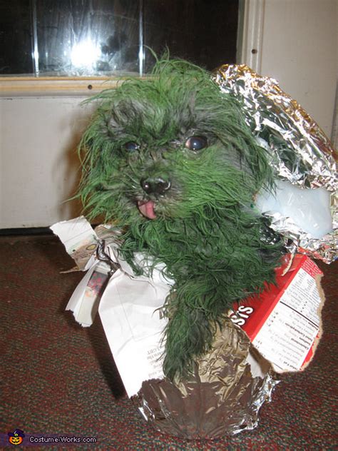 Oscar The Grouch Dog Halloween Costume