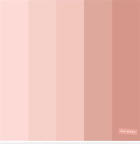 Blush Pink Color Palette