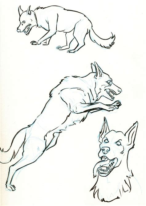Zombie Dog Drawing At Getdrawings Free Download
