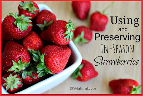 Fresh Strawberry Recipes And Other Ways To Use And Preserve Them