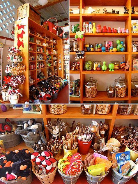 Pet shop store boutiques dog treats 32+ super Ideas | Dog ...