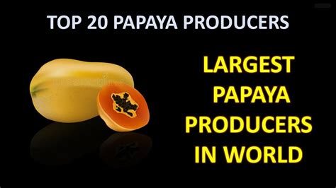 Largest Papaya Producing Countries In The World Top 20 Papaya