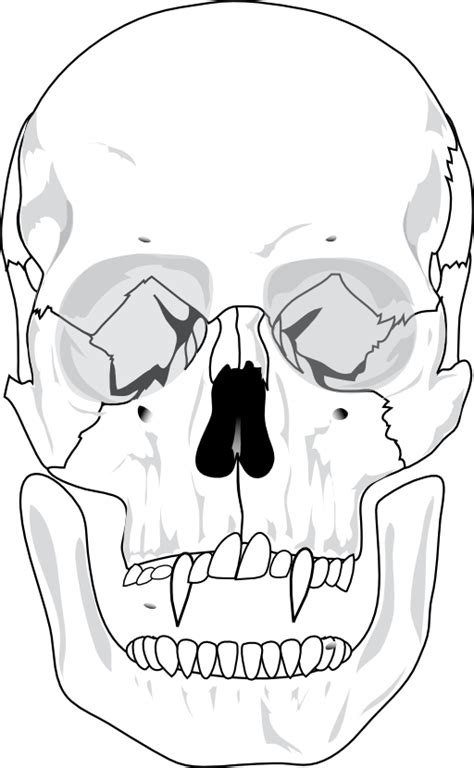 Evil Skull Clipart I2clipart Royalty Free Public Domain Clipart