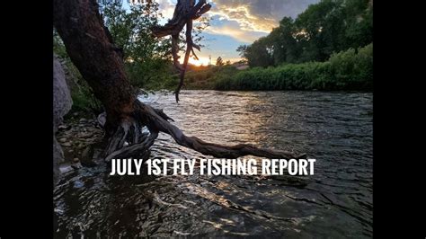 July 1 2020 Upper Arkansas River Fly Fishing Report