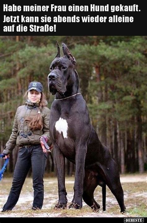 Diese netten hunde auf den bildern würden sie gerne. Habe meiner Frau einen Hund gekauft.. | Riesige hunde ...