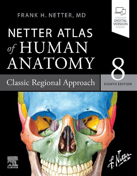 Netter Atlas Of Human Anatomy Classic Regional 8th Edition Frank H