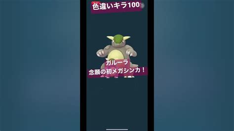 ポケモンgo 】ガルーラを念願の初メガシンカ！色違いキラ100！shorts 色違い メガシンカ ガルーラ ポケモン Shiny