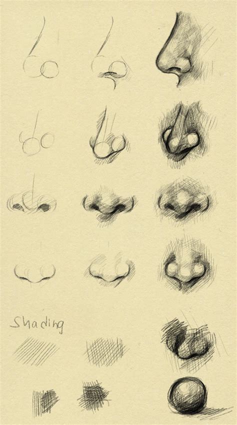 Nose Reference By Ryky On Deviantart Nose Drawing Portrait Drawing