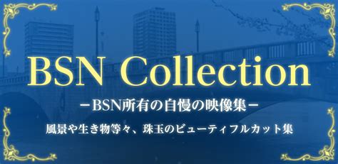 Bsn新潟放送｜bsn Collection