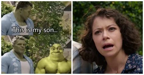 15 Funniest Shrek Memes That Can Put A Smile On Your Face
