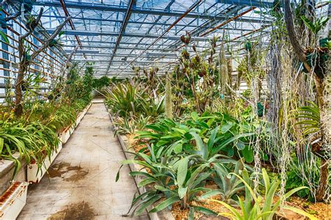 Interior Botanic Glasshouse Featuring Botanic Botanical And Botany