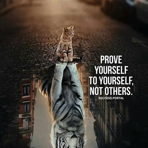 Tiger Quotes Lion Quotes Strong Quotes Quotes Deep Positive Quotes