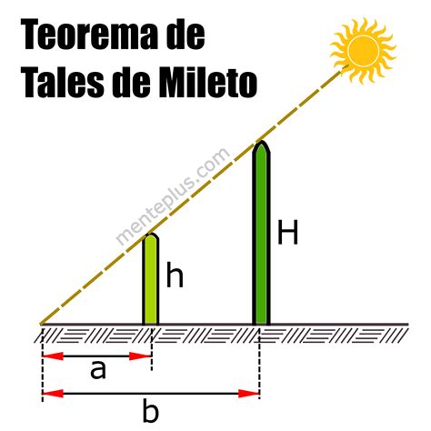 Tales De Mileto Aportes Y Teoremas 】