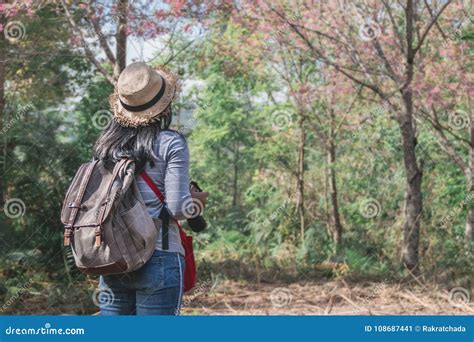 Asian Girl Backpacker On The Hill Stock Image Image Of Green Natural