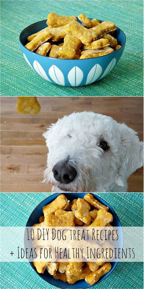 I would accept the juice pulp challenge and. Homemade Dog Treats - Easy Recipe Ideas | Dans le Lakehouse