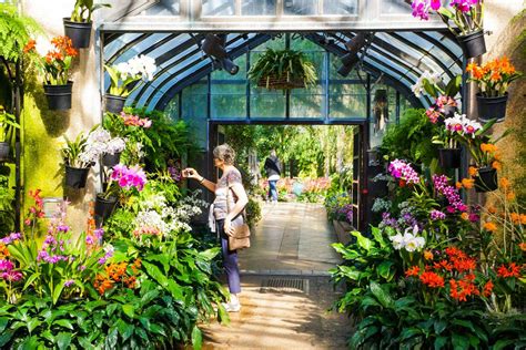 A Glimpse Of How Our Orchid House Typically Looks With This Photo