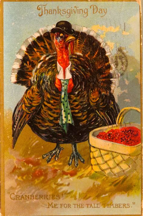 from robyn miller s vintage turkey postcard collection vintage thanksgiving cards vintage