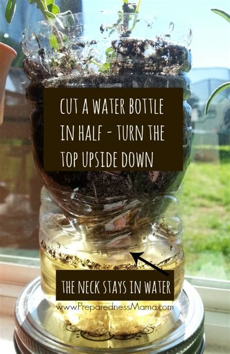 Frugal Gardening Tip 4 Starting Seeds In Recycled Containers