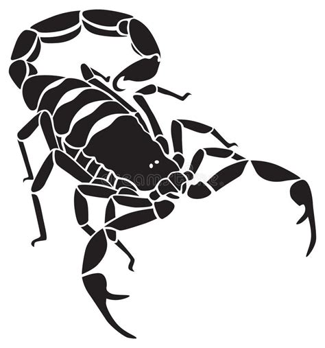 Scorpion Stock Vector Illustration Of Scorpion Decor 23941373
