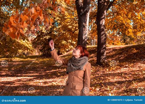 Autumn Colors Redhead Woman Enjoying In The Autumn Forest Stock Image Image Of October