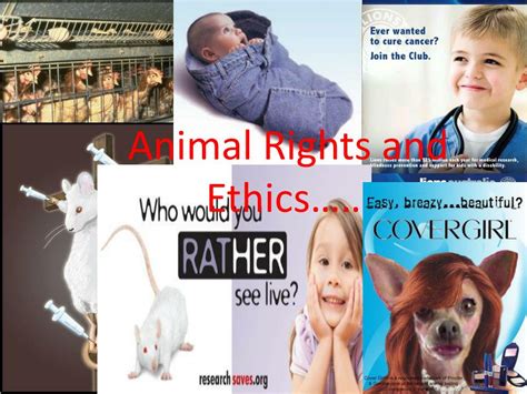 Ppt Animal Rights And Ethics Powerpoint Presentation Free Download