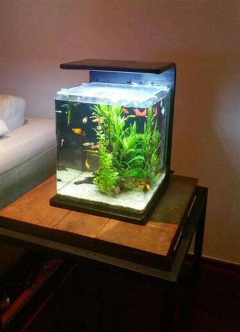 35 Modern Mini Aquarium Designs For Your Small Spaces Home Design And